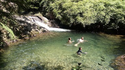 Photos of Reserva Cient&iacute;fica &Eacute;bano Verde: Centro de visitantes