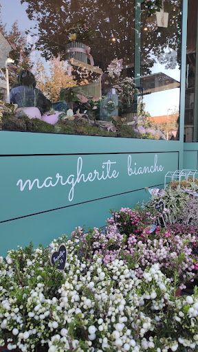 Margherite Bianche | La casa dei fiori - Thumbnail