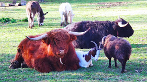 Photo n°2 de Poppy & Co à Saint-Julien-du-Puy (Service d'accueil pour les jeunes)
