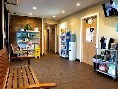 Ashby Animal Clinic