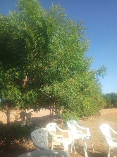 Photos of Stegra Hotel