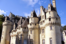 Chateau d'Usse, Rigny-Usse, France