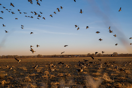 Clovis Point Hunting Club