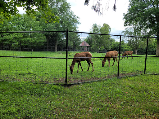 Zoo New York - Thumbnail