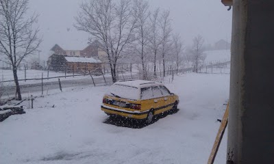 Photos of Džamija