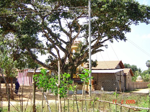 Chunnakam East Sornawaratha Kali ambal Kovil (சுன்னாகம் கிழக்கு ஸ்ரீ சொர்ண வரத காளி அம்பாள்), Author: v kulasivam