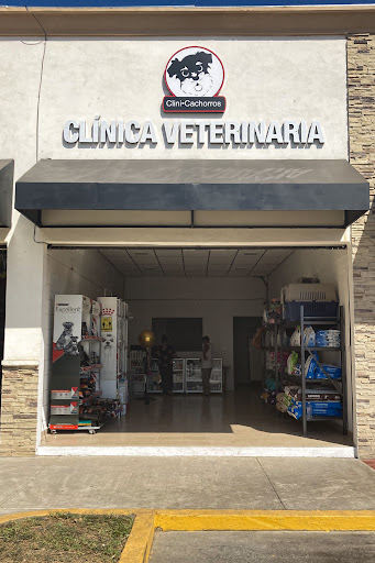 CliniCachorros Akishino