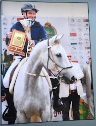 Photo n°4 de UNIVERS PONIES à Plouha (Centre équestre)