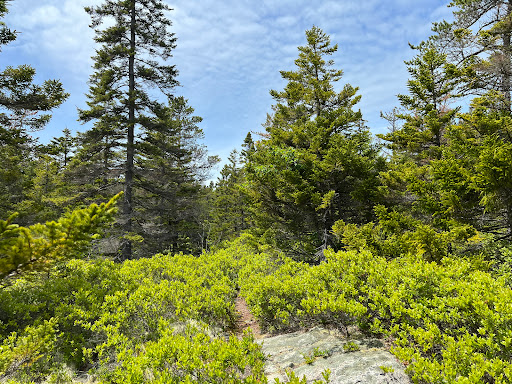 Hollingsworth Trail Parking - Thumbnail