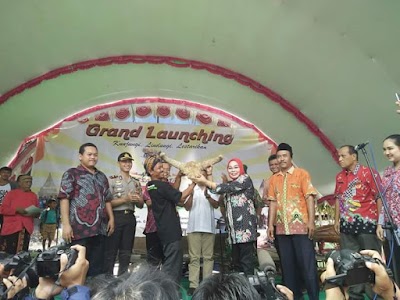 Photos of Pusat Informasi DESA WISATA BANJAREJO