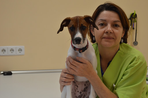 Clínica Veterinaria La Plaza