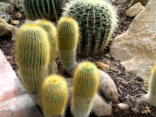 Jardin botanique de Metz - Thumbnail
