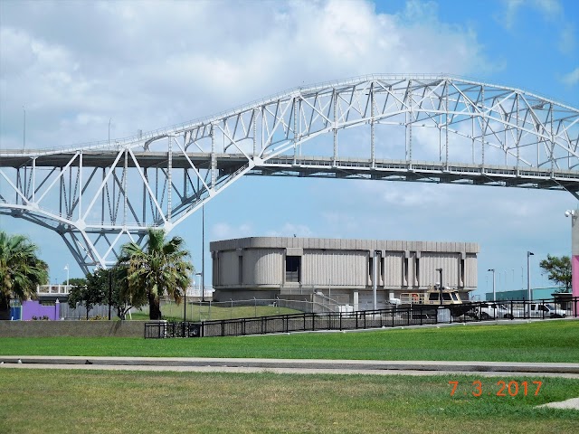 The Art Museum of South Texas