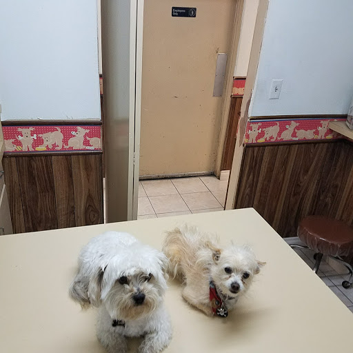 Orange-Tustin Animal Hospital - Thumbnail