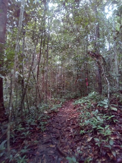 Photos of PERUM GRIYA KARIANGAU BARU