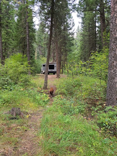 Crazy Creek Campground