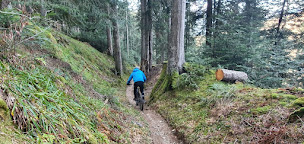 Photo n°17 de Intersport / Joe-bike Luz Saint Sauveur à Luz-Saint-Sauveur (Magasin de vélos)