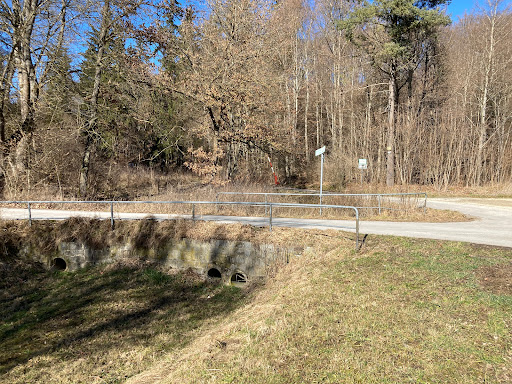 Mündung des Flönstälegrabens in den Haintalgraben