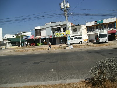 Photos of CANIS VETERINARIA Y PELUQUERIA