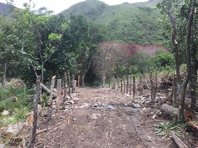 Photos of VILCABAMBA