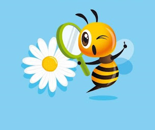 Photo n°9 de COMPARIT Courtier Comparateur d'Assurances à Nice (Agence d'assurance)