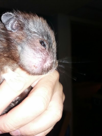 Photos of Valencia Veterinary Center