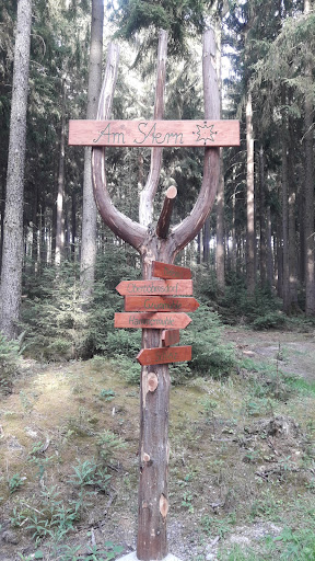 Waldkreuzung "Stern" - Thumbnail