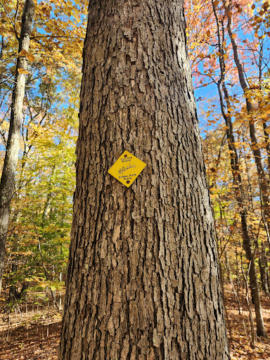 North Woods Nature Preserve - Thumbnail