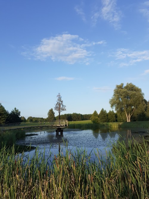 Baltų vienybės medis