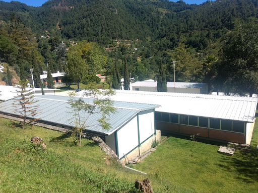 CBTA 192 - Visual