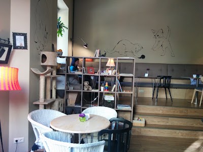 Photos of Minka Cat Cafe