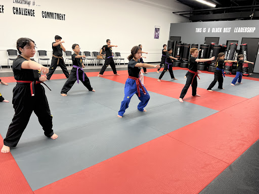 TKD Armor Academy - Visual