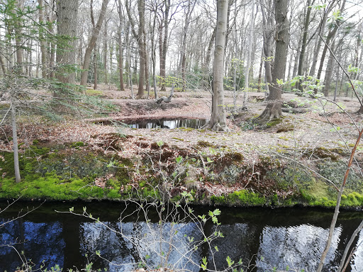 Drentsche Aa - Visual