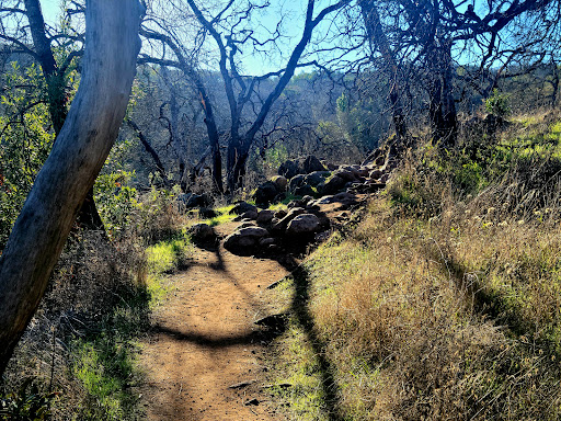 Trione-Annadel State Park - Thumbnail