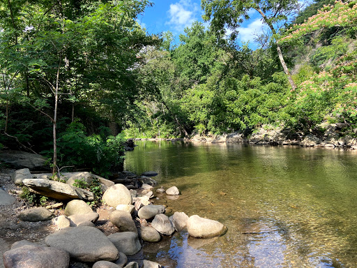Herbert Holt Park - Thumbnail