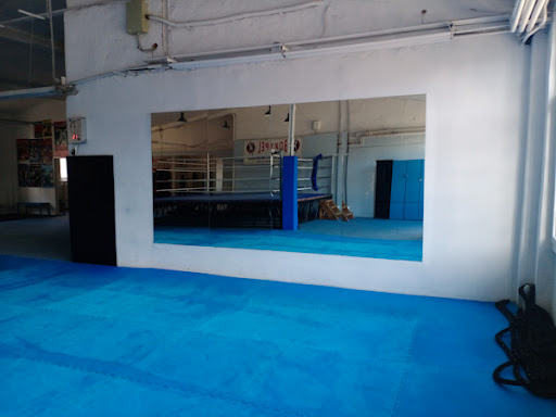 Vinnii Vinz Muay Thai - Thumbnail