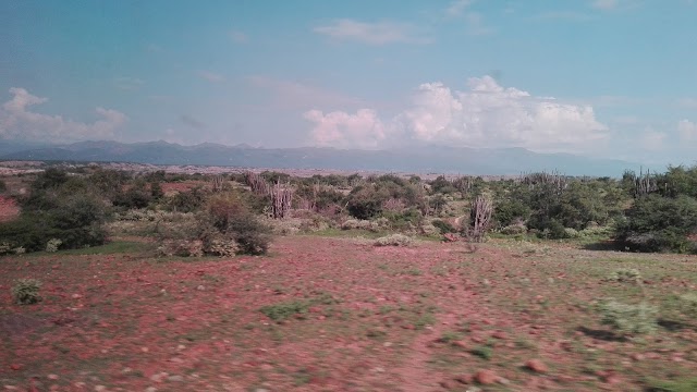 El Desierto de La Tatacoa