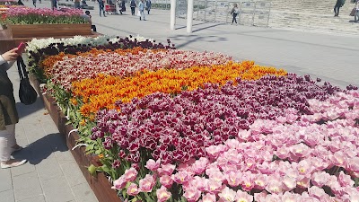 Photos of Taksim