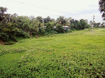 Photos of Patulipara High School