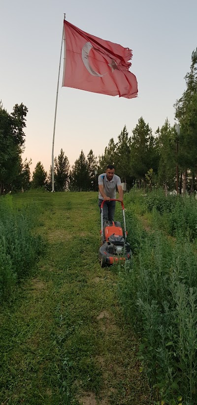 Sıralı Bayraklı Tepe Mahallesi