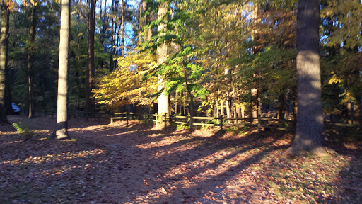 Timber Surf Camping Resort - Thumbnail