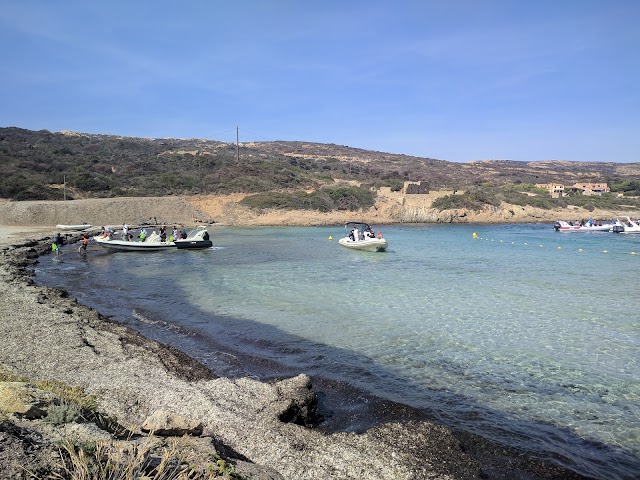 Plage de l'Alga