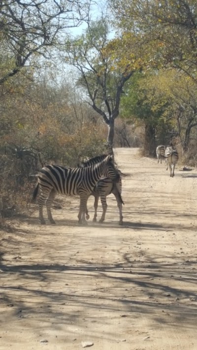 Photos of Green Kruger Lodge