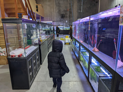 Roxy Aquarium - Thumbnail