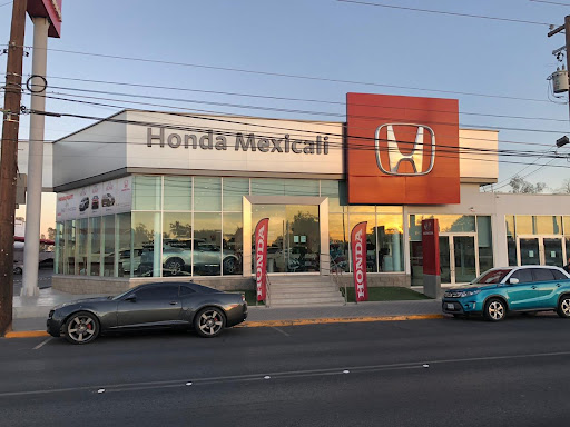 Honda Óptima Logo