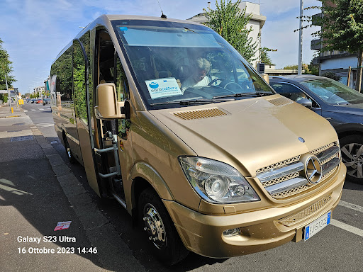 Magic Bus Srl - Visual