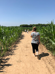 Photo n°32 de Bayeux Aventure à Cussy (Parc aquatique)