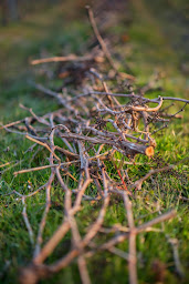 Photo n°12 de Vignobles Dubard à Saint-Méard-de-Gurçon (Établissement vinicole)