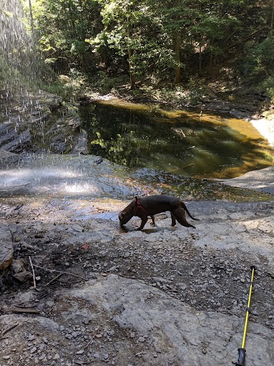 Soak Creek State Scenic River