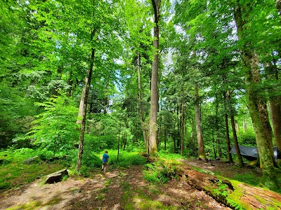 Backcountry Campsite #34